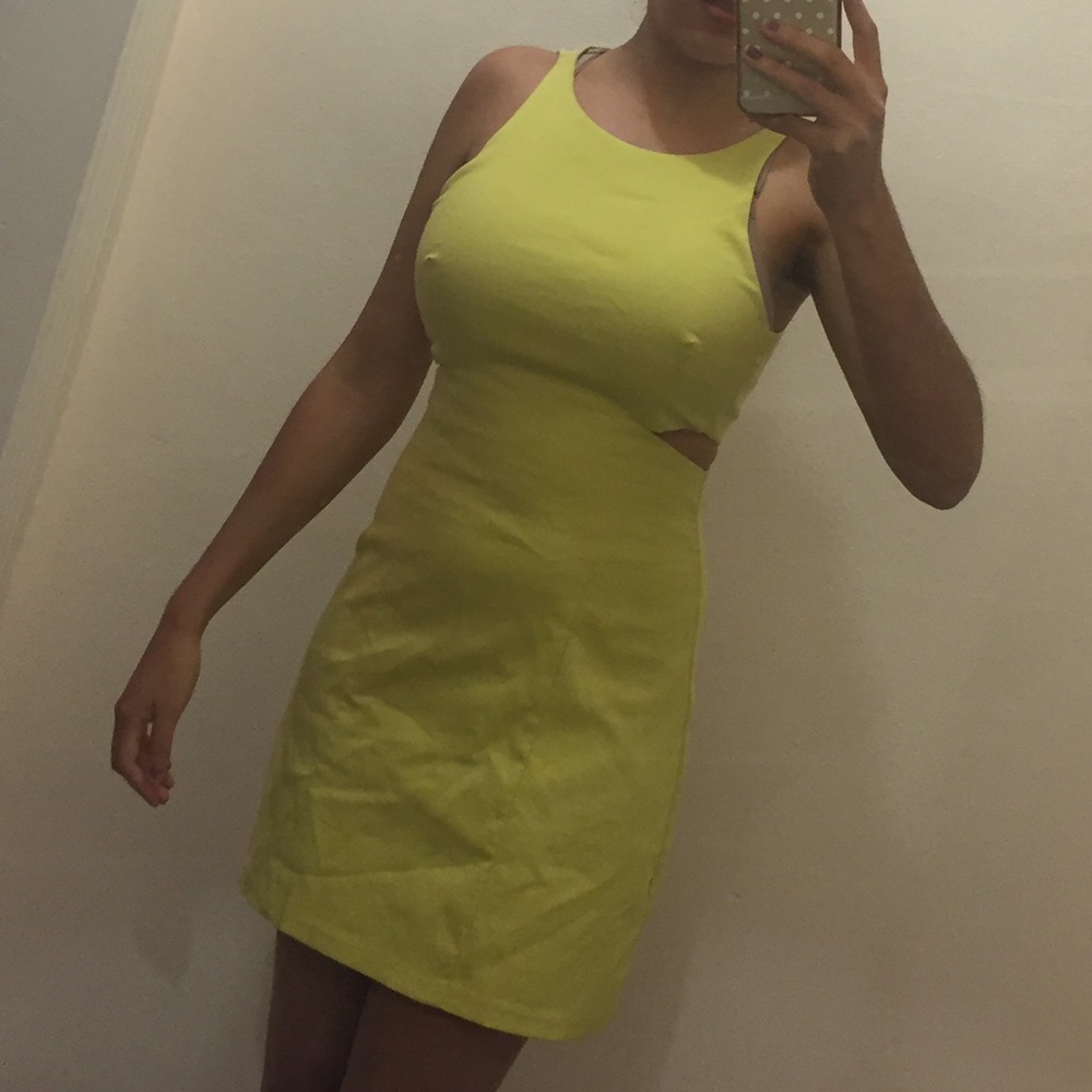 Zara Trafaluc dress